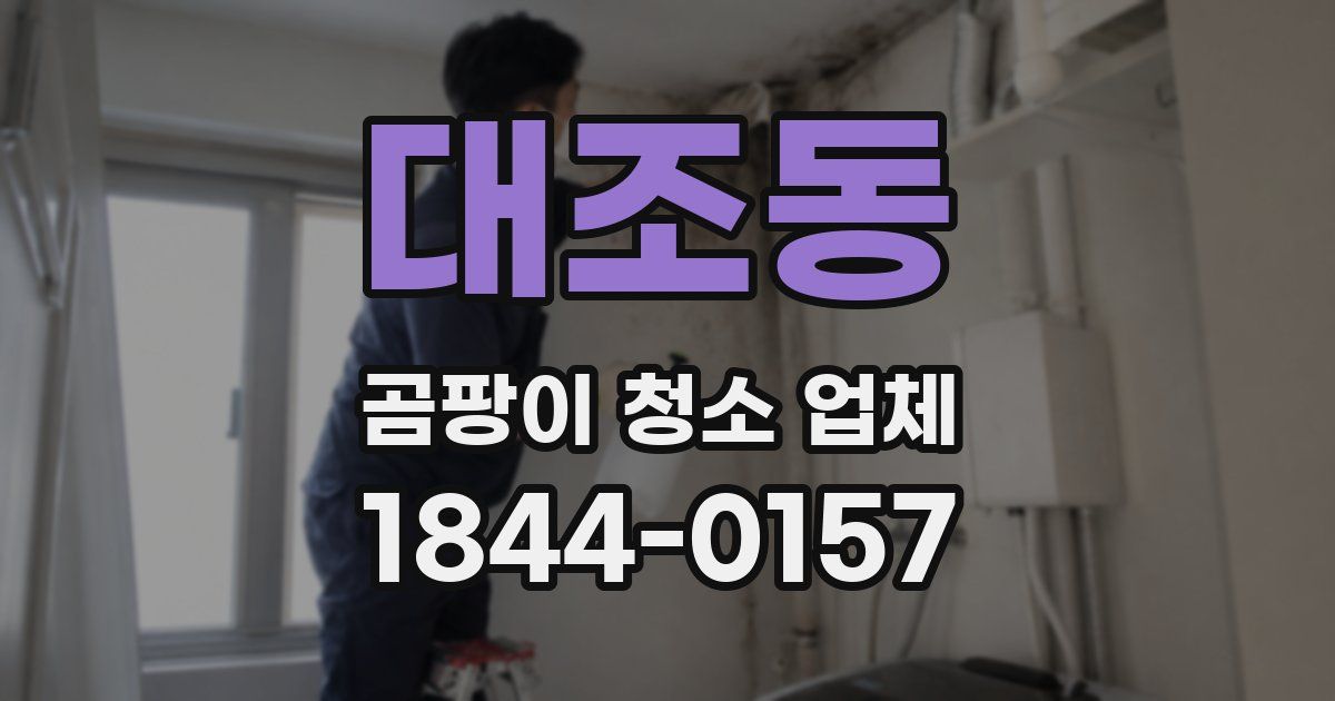 대조동 곰팡이 청소 업체
