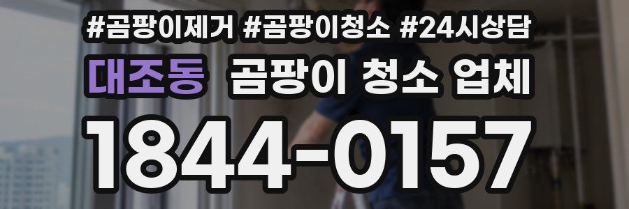 대조동 곰팡이 청소 업체