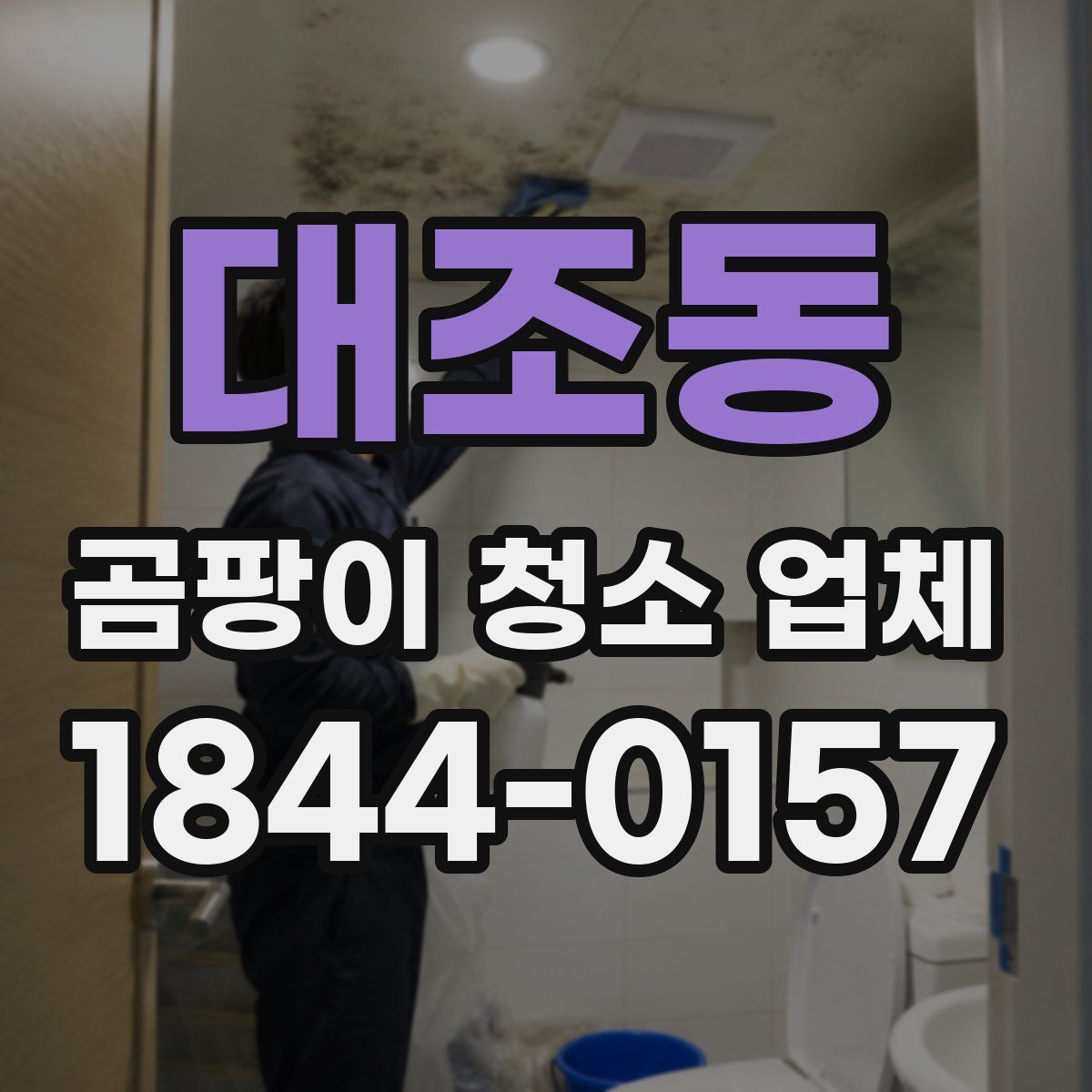 대조동 곰팡이 청소 업체