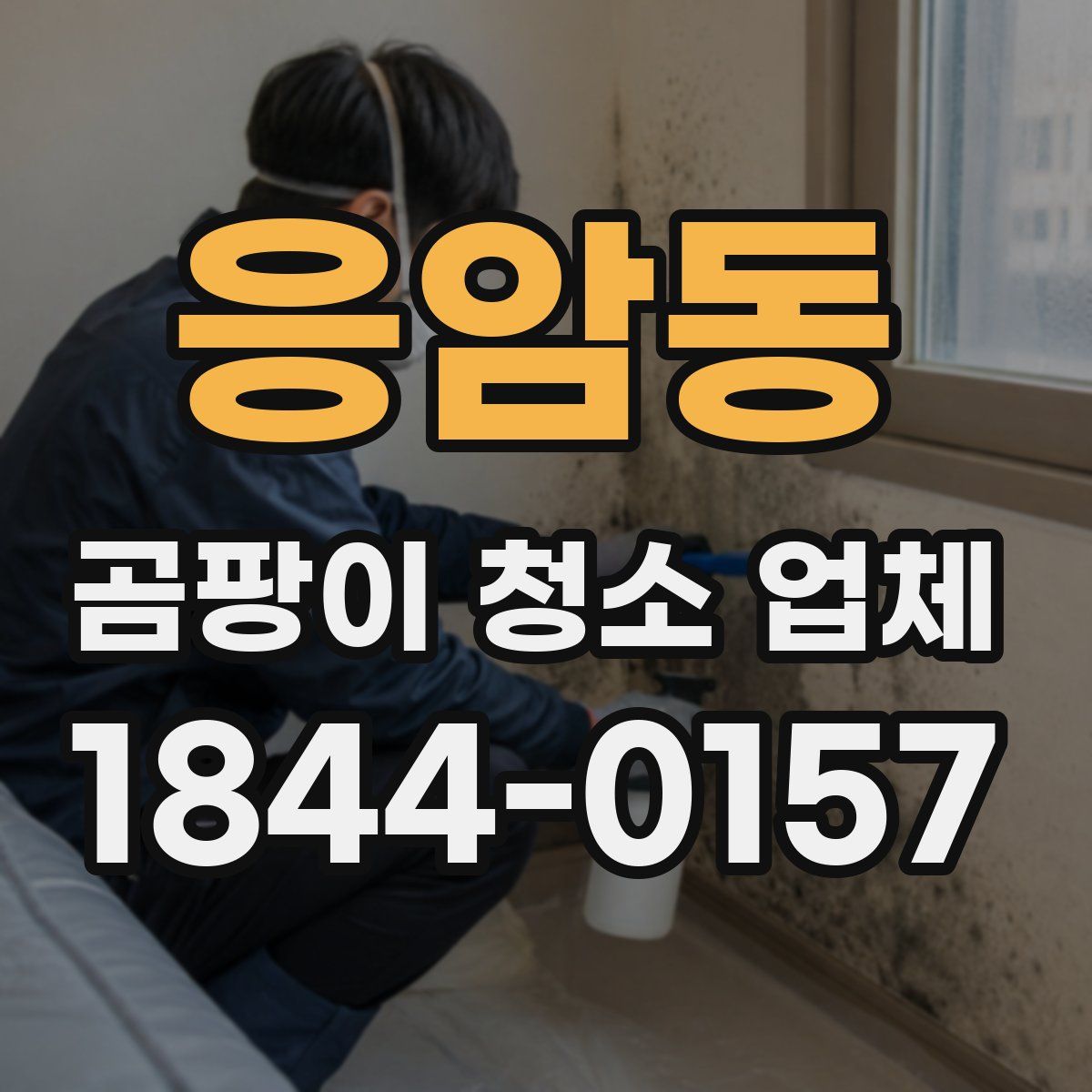 응암동 곰팡이 청소 업체