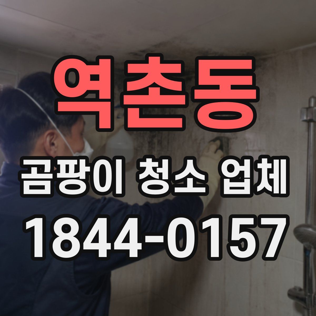 역촌동 곰팡이 청소 업체
