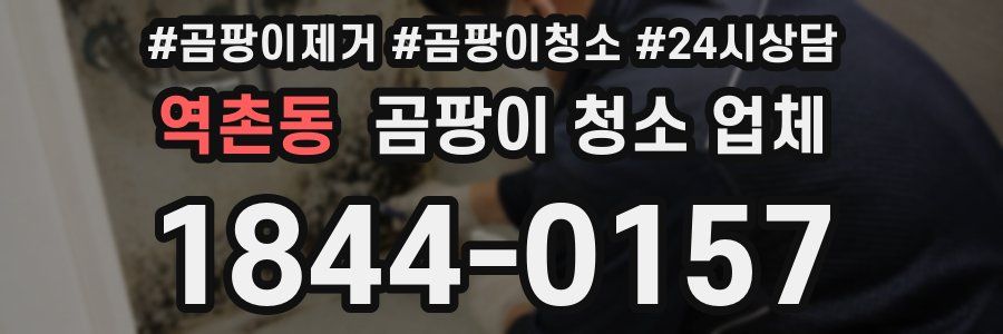 역촌동 곰팡이 청소 업체
