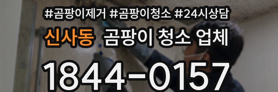 신사동 곰팡이 청소 업체