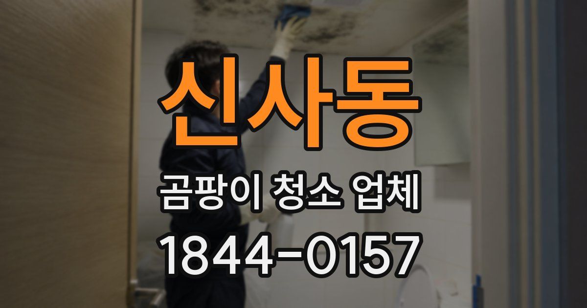 신사동 곰팡이 청소 업체