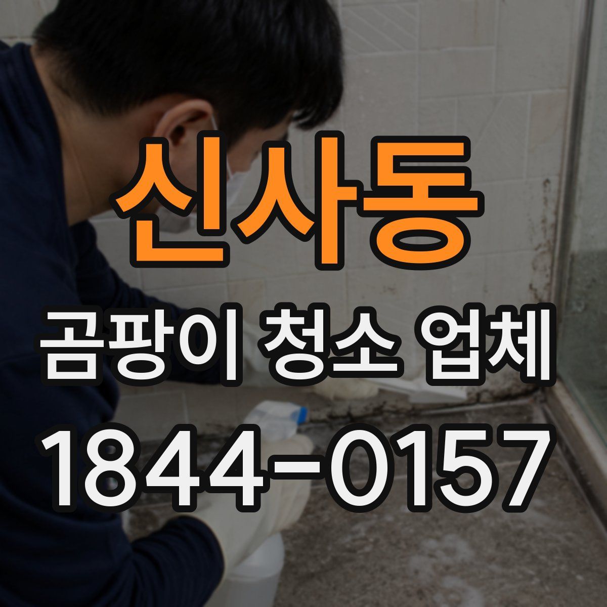 신사동 곰팡이 청소 업체