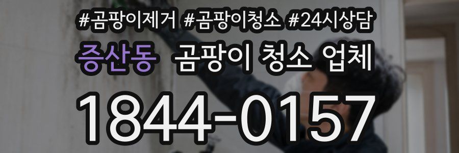 증산동 곰팡이 청소 업체