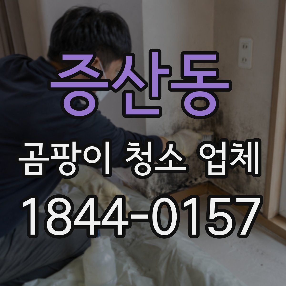 증산동 곰팡이 청소 업체