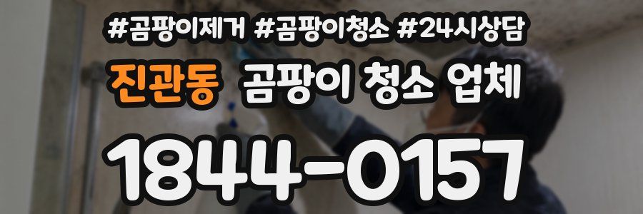 진관동 곰팡이 청소 업체