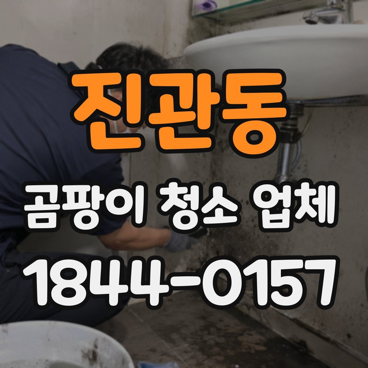 진관동 곰팡이 청소 업체