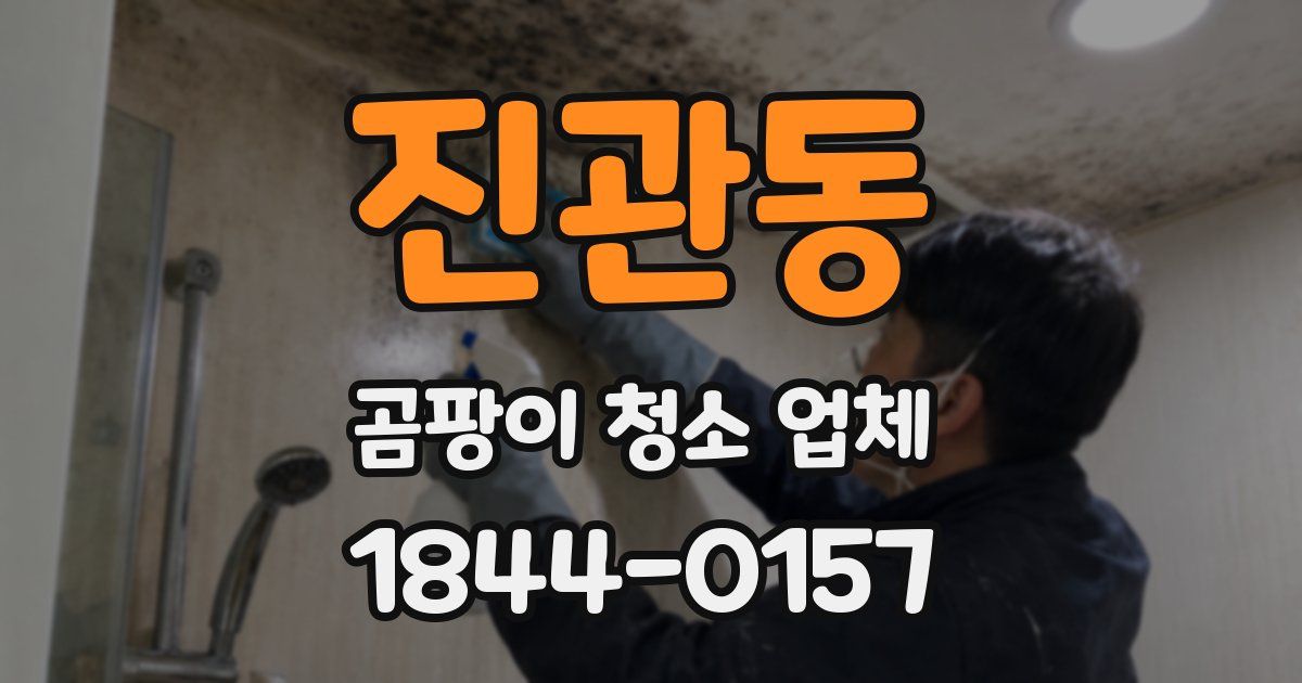 진관동 곰팡이 청소 업체