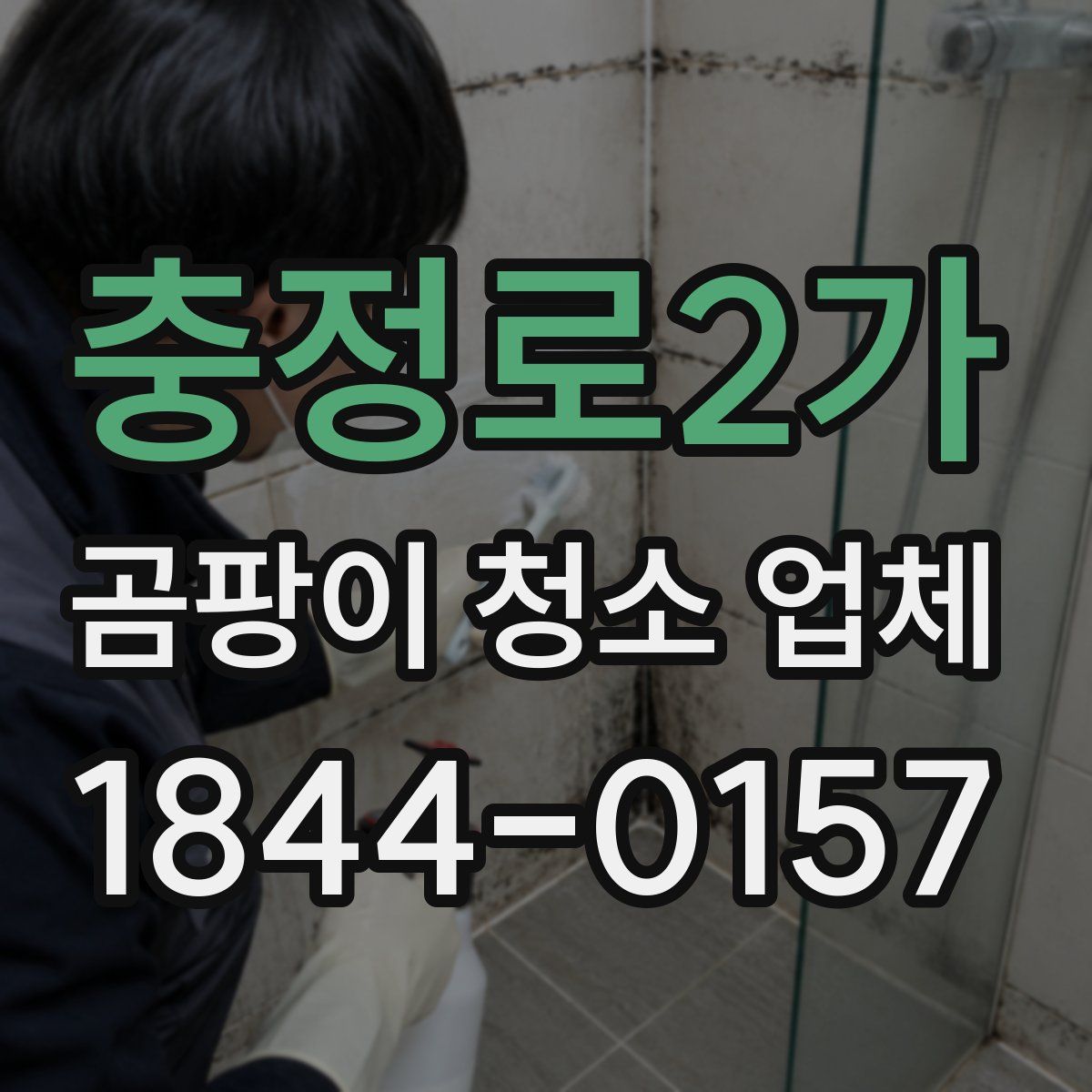 충정로2가 곰팡이 청소 업체