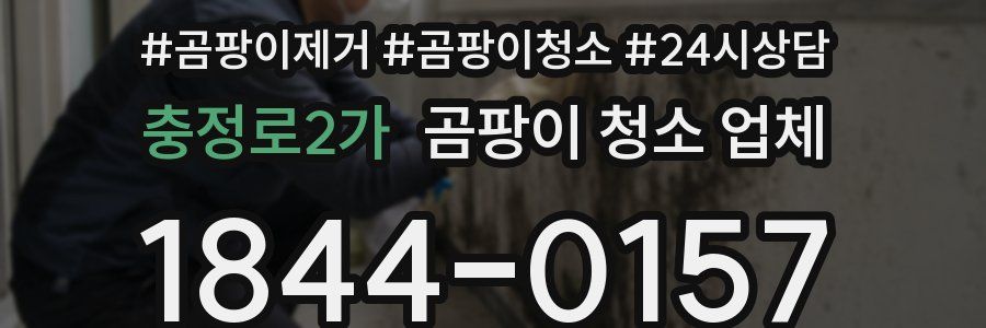 충정로2가 곰팡이 청소 업체