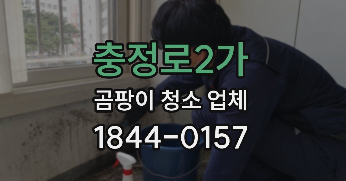 충정로2가 곰팡이 청소 업체