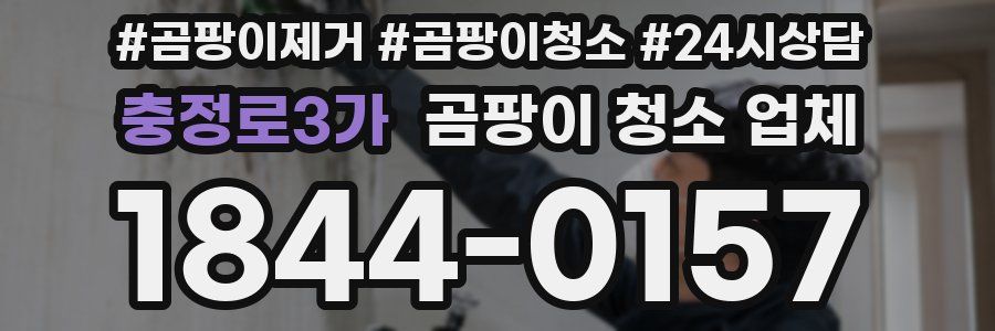 충정로3가 곰팡이 청소 업체