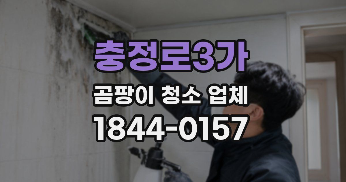 충정로3가 곰팡이 청소 업체