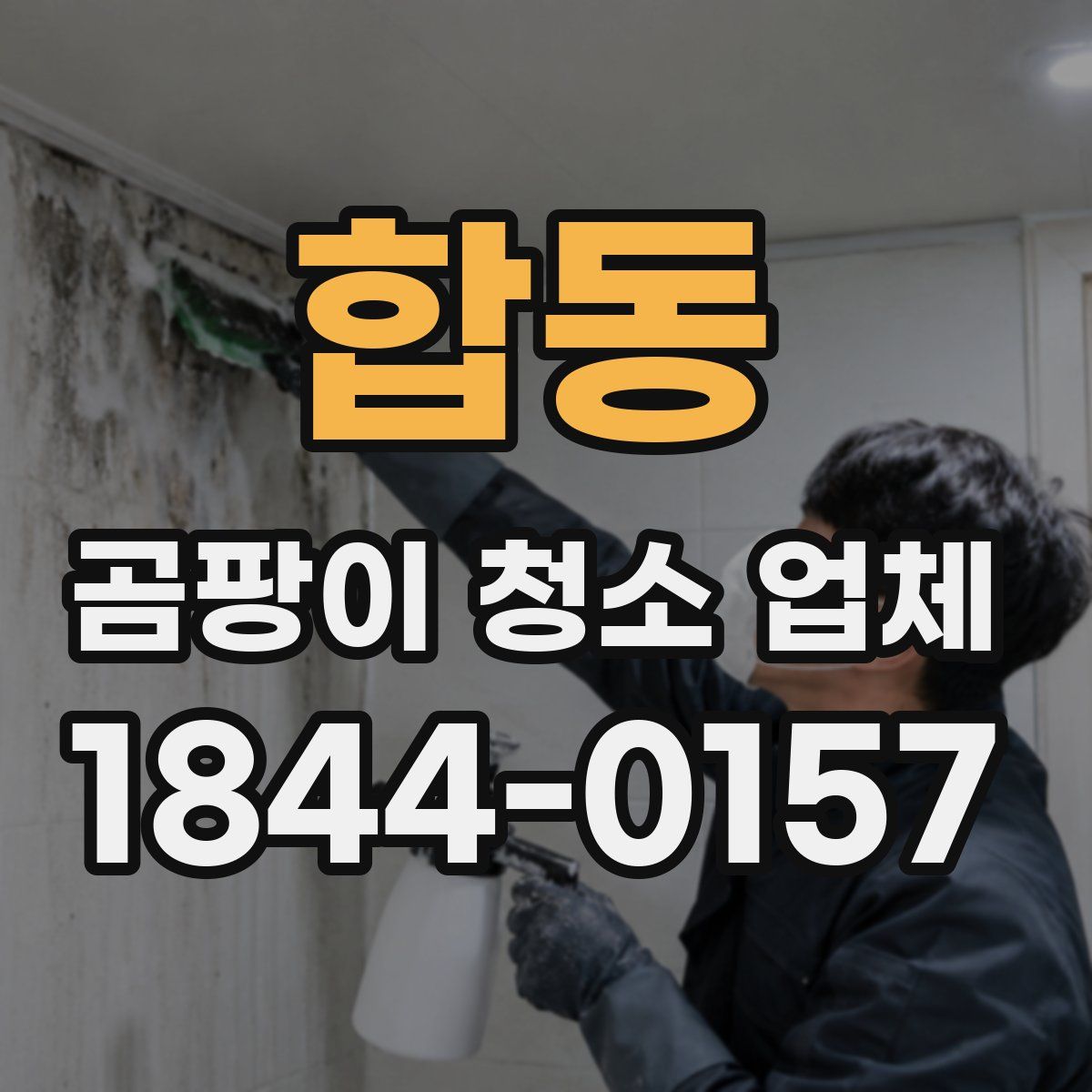 합동 곰팡이 청소 업체
