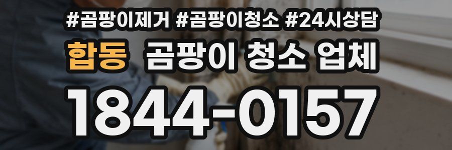 합동 곰팡이 청소 업체