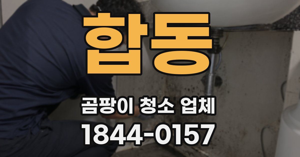 합동 곰팡이 청소 업체