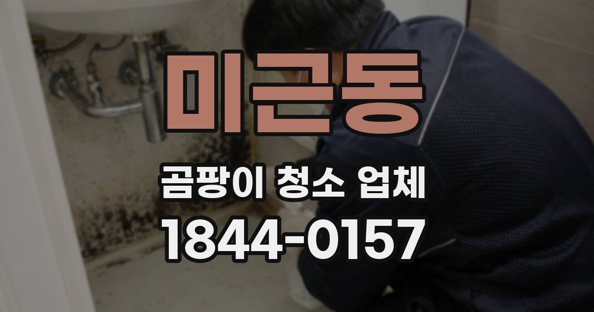 미근동 곰팡이 청소 업체