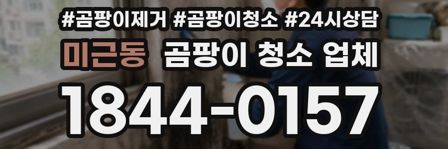 미근동 곰팡이 청소 업체