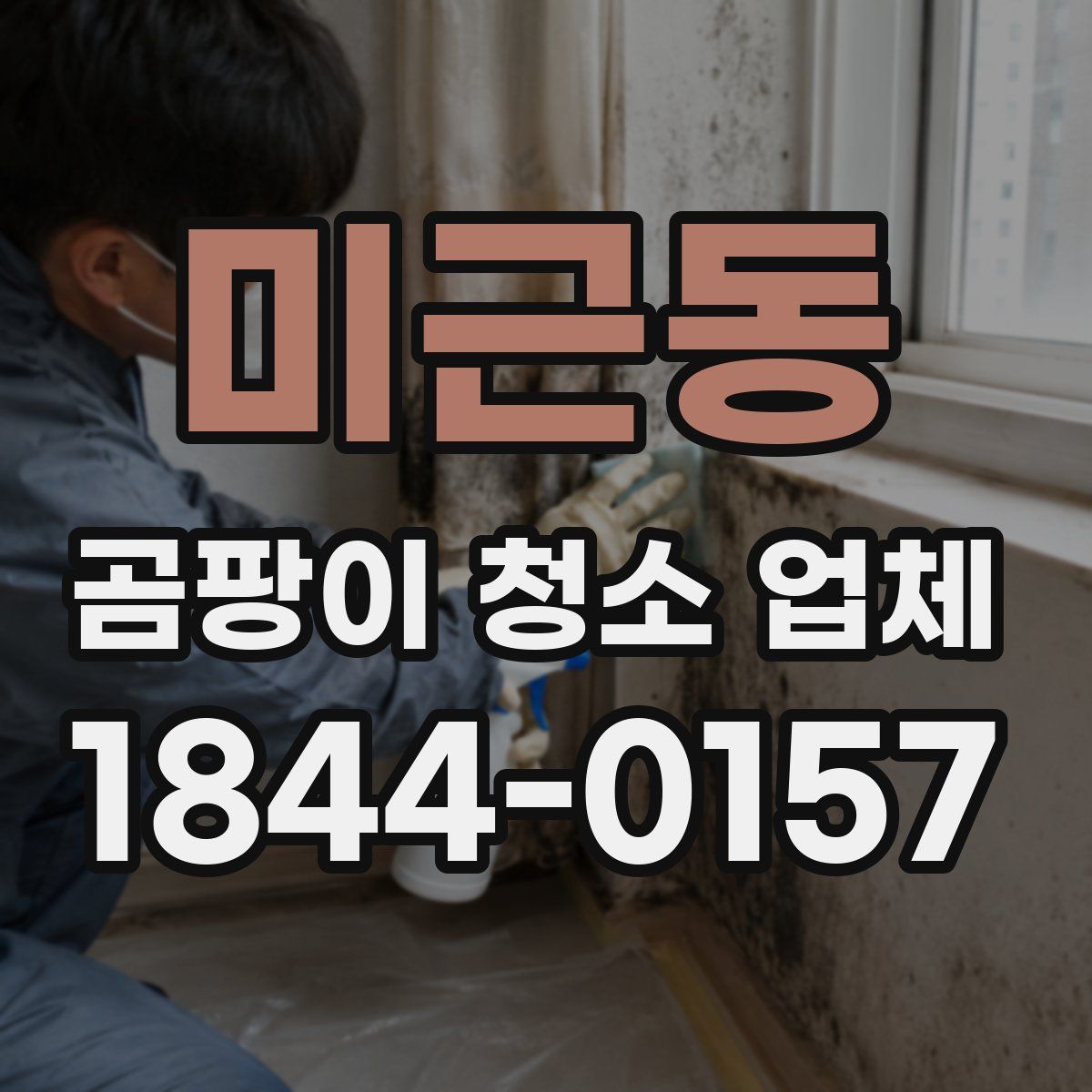 미근동 곰팡이 청소 업체