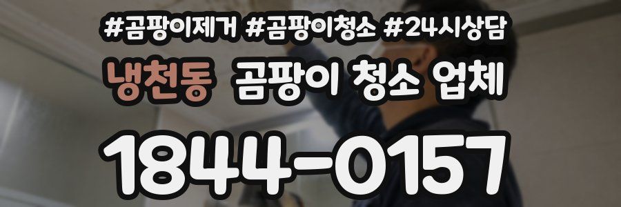 냉천동 곰팡이 청소 업체