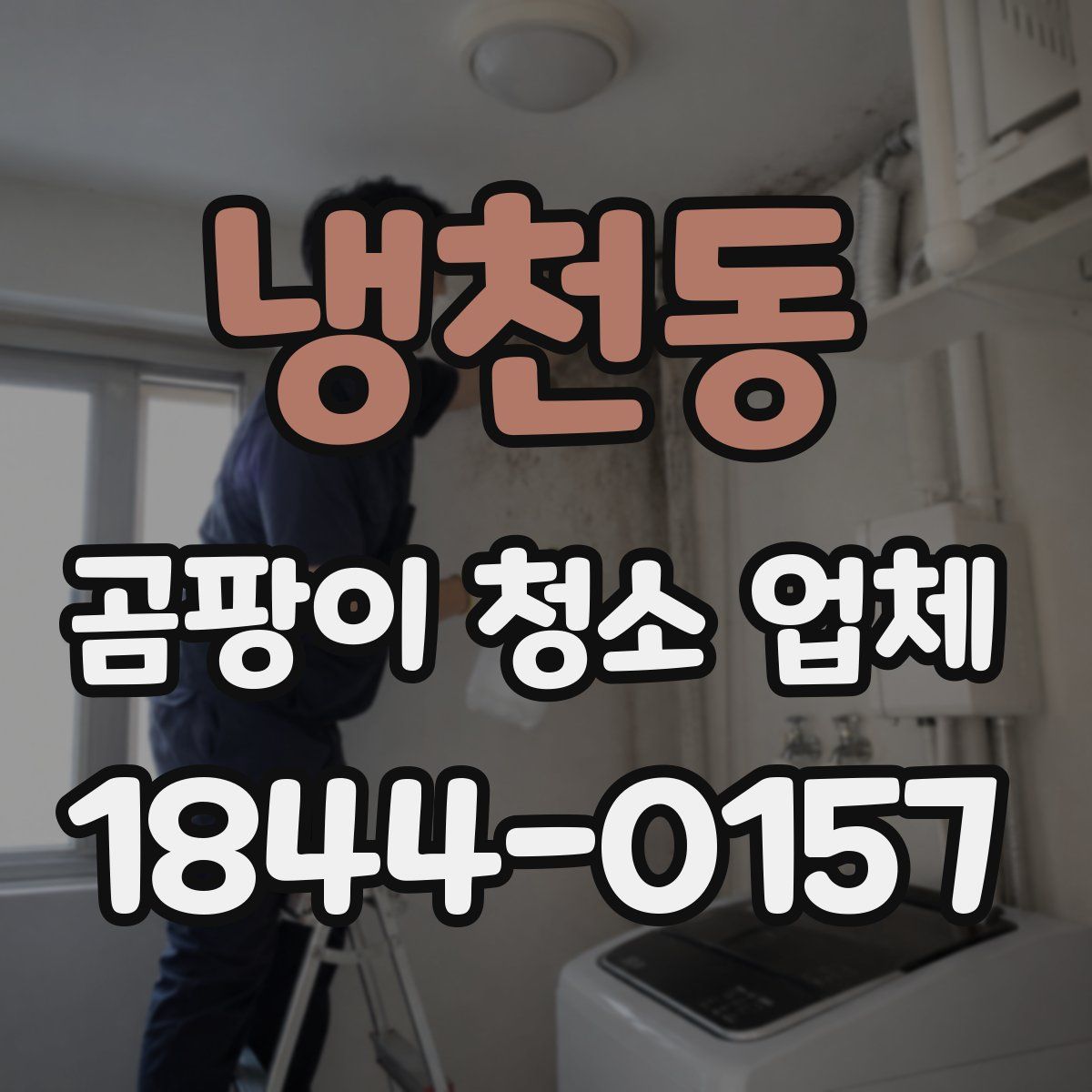 냉천동 곰팡이 청소 업체