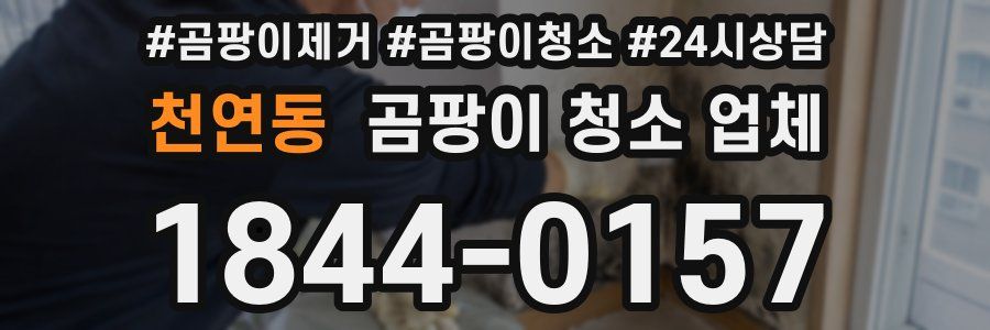천연동 곰팡이 청소 업체