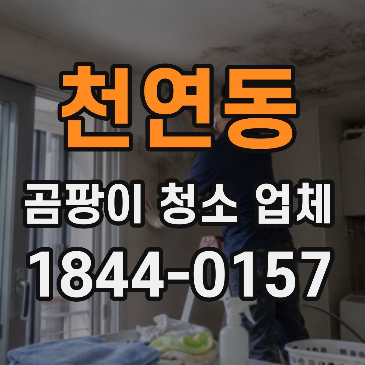 천연동 곰팡이 청소 업체