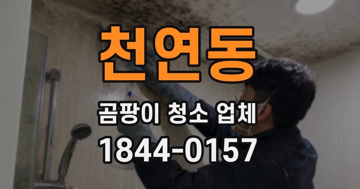 천연동 곰팡이 청소 업체
