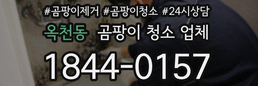 옥천동 곰팡이 청소 업체