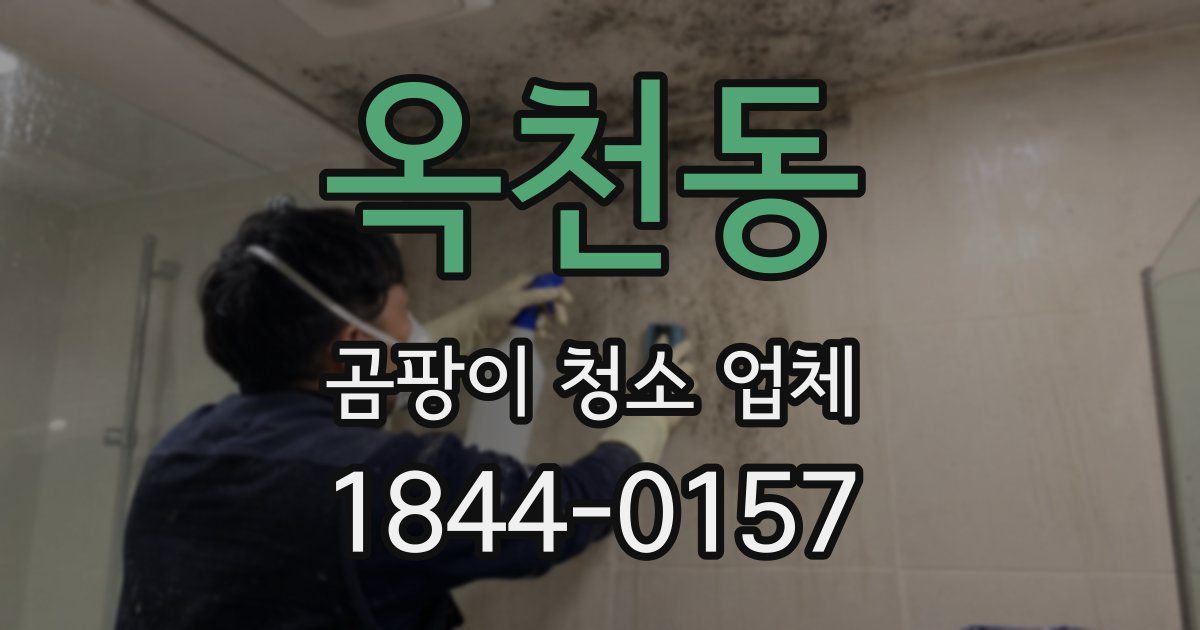 옥천동 곰팡이 청소 업체