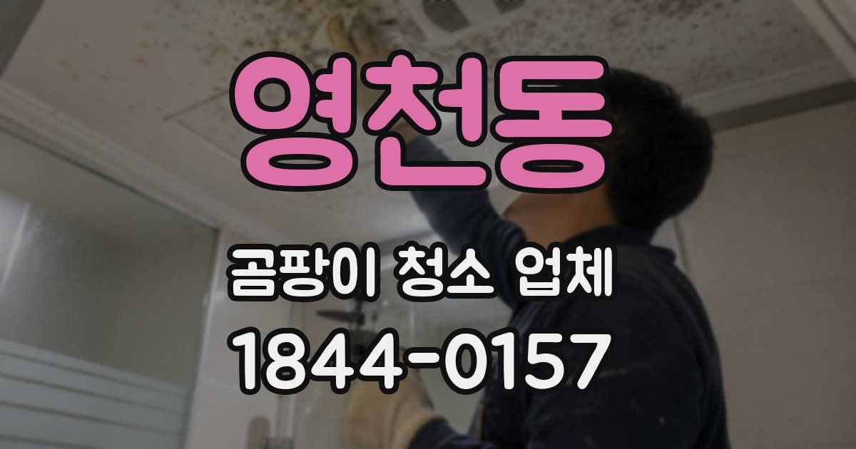 영천동 곰팡이 청소 업체