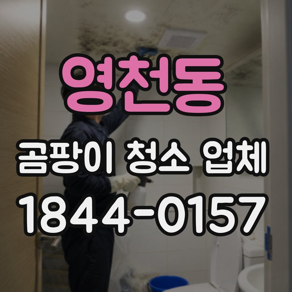 영천동 곰팡이 청소 업체