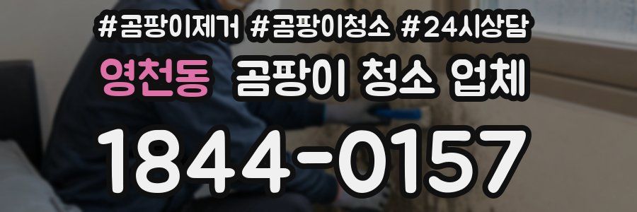 영천동 곰팡이 청소 업체