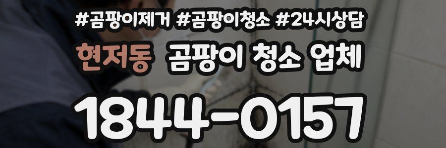 현저동 곰팡이 청소 업체