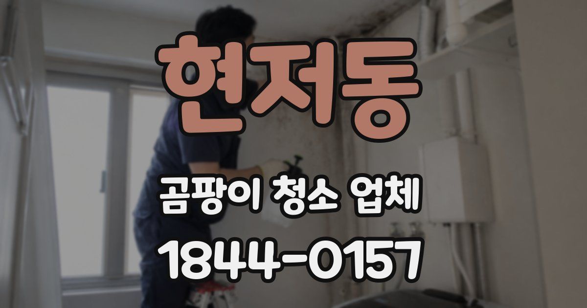 현저동 곰팡이 청소 업체