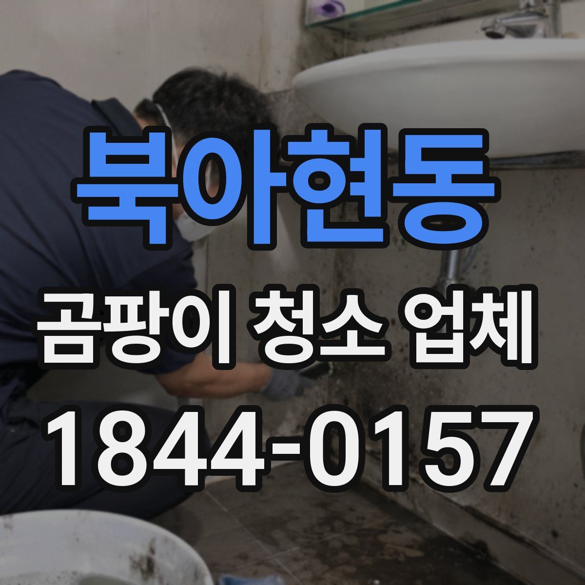 북아현동 곰팡이 청소 업체