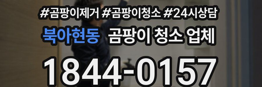 북아현동 곰팡이 청소 업체