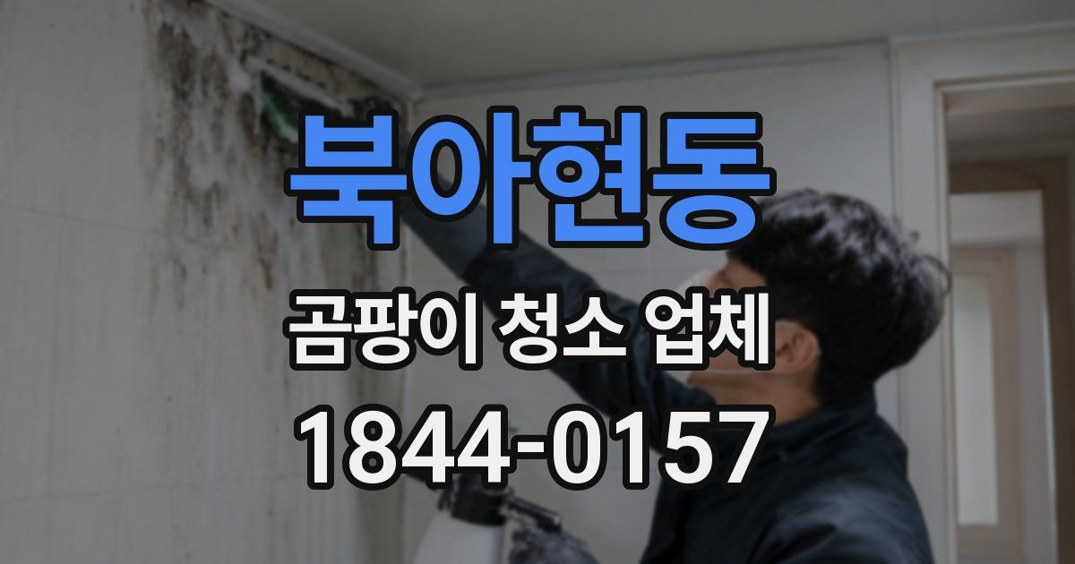 북아현동 곰팡이 청소 업체