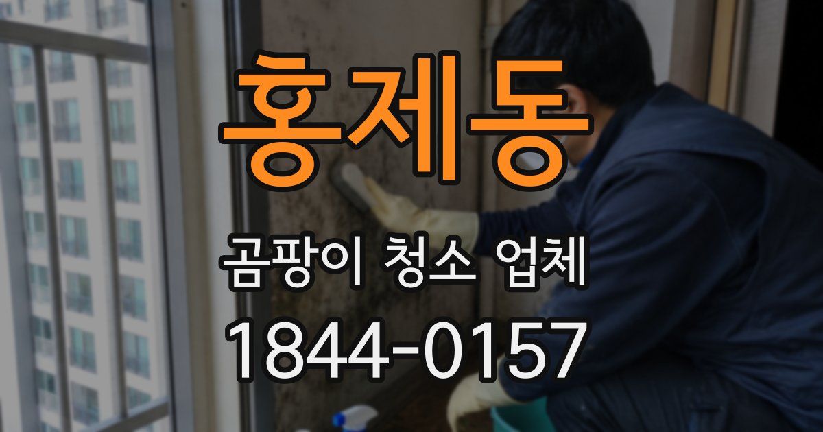 홍제동 곰팡이 청소 업체