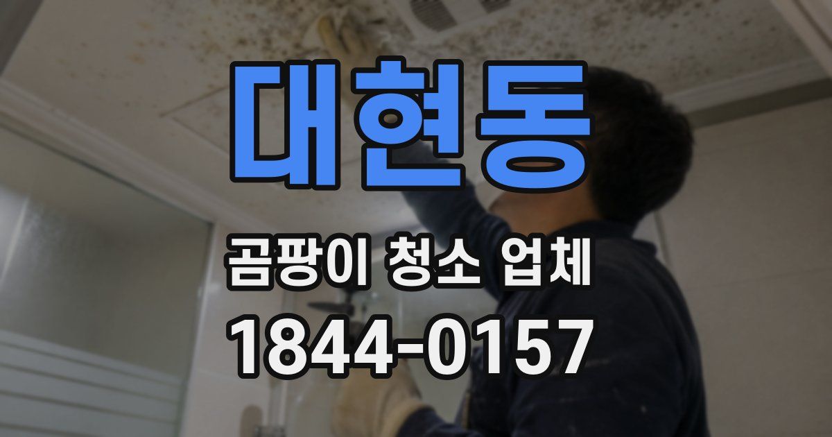 대현동 곰팡이 청소 업체