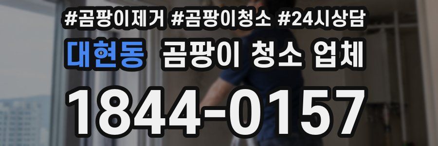 대현동 곰팡이 청소 업체