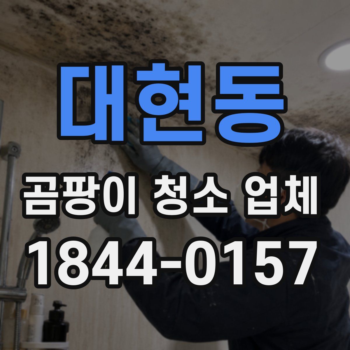 대현동 곰팡이 청소 업체