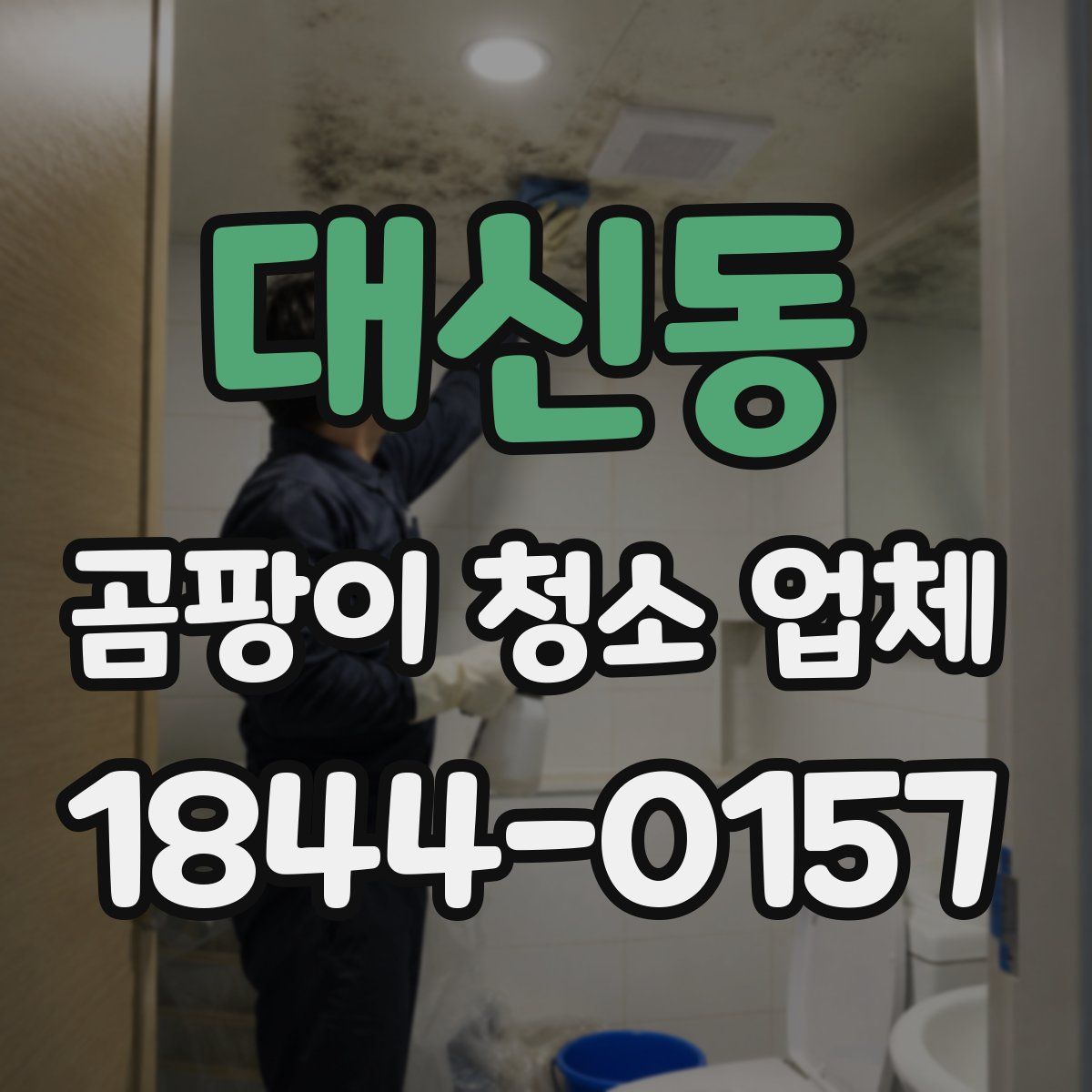대신동 곰팡이 청소 업체
