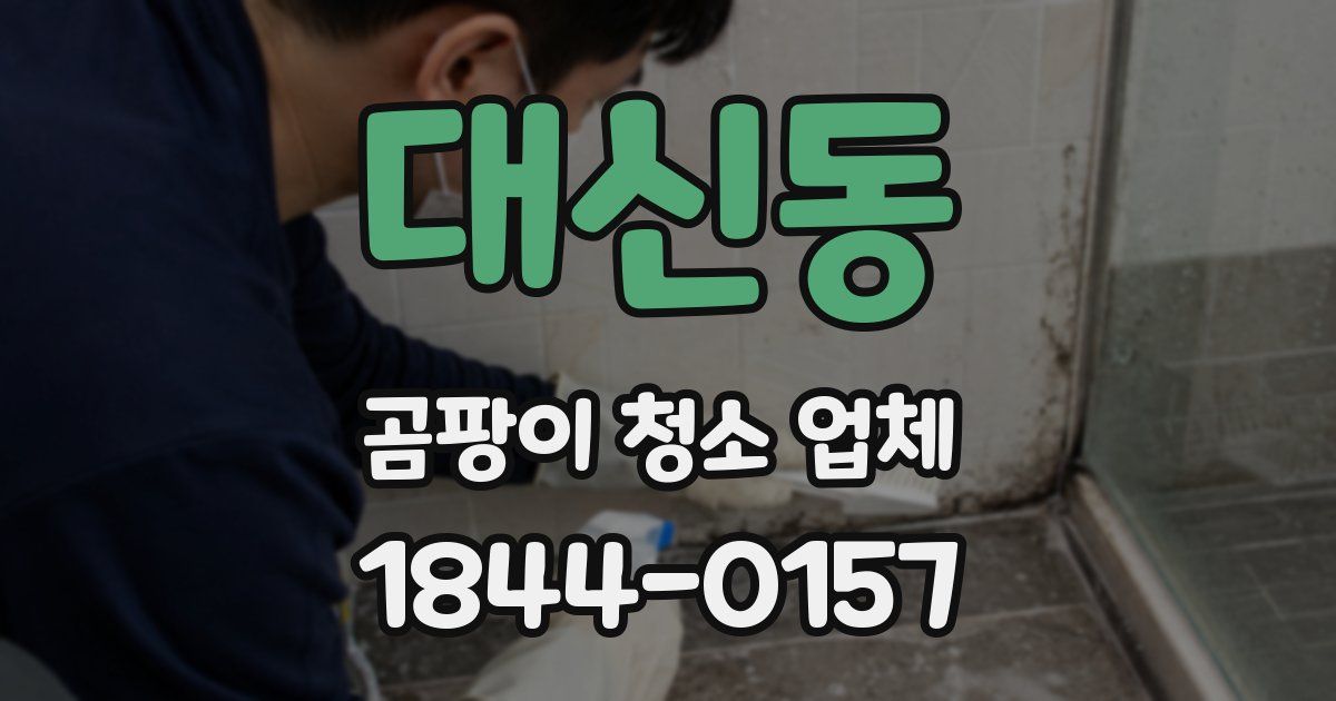 대신동 곰팡이 청소 업체