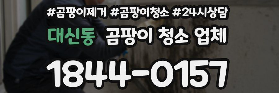 대신동 곰팡이 청소 업체