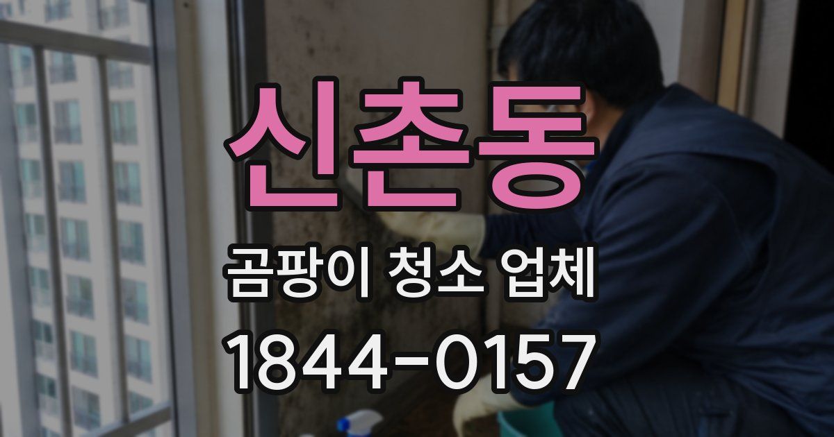 신촌동 곰팡이 청소 업체