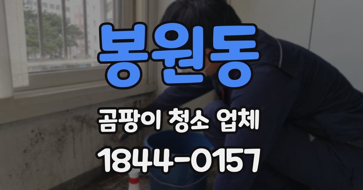 봉원동 곰팡이 청소 업체