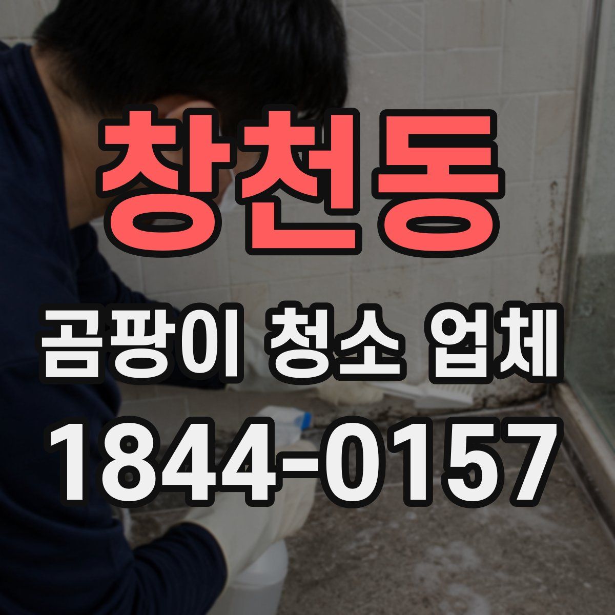 창천동 곰팡이 청소 업체